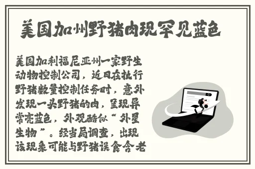 18岁禁止软件